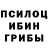 Галлюциногенные грибы мухоморы Minister tep