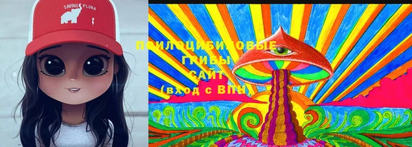 круглые Алексеевка