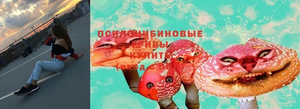 2c-b Алзамай